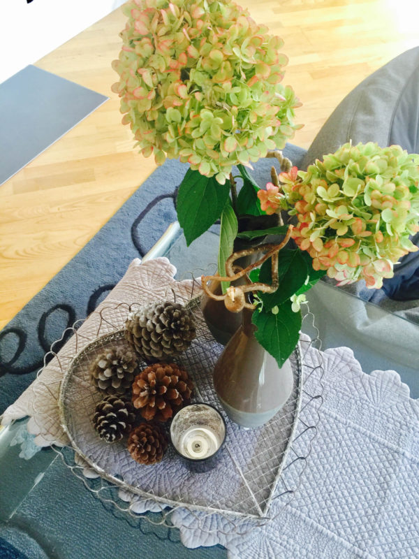 Meine Herbst-Deko mit Zapfen, Hortensien und Erika • Blanda's